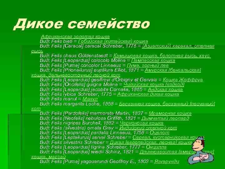 Дикое семейство Африканская золотая кошка Вид: Felis bieti = Гобийская (китайская) кошка Вид: Felis