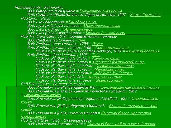 Род Catopuma = Катопумы Вид: Catopuma [Felis] badia = Калимантанская кошка Вид: Catopuma [Felis]