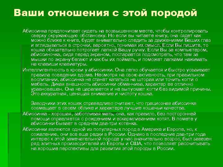Ваши отношения с этой породой Абиссинка предпочитает сидеть на возвышенном месте, чтобы контролировать сверху