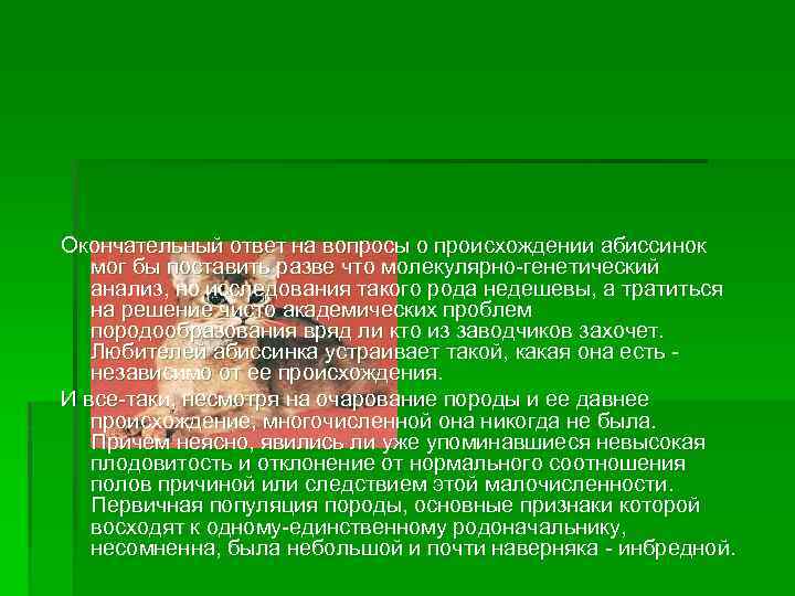 Окончательный ответ на вопросы о происхождении абиссинок мог бы поставить разве что молекулярно-генетический анализ,