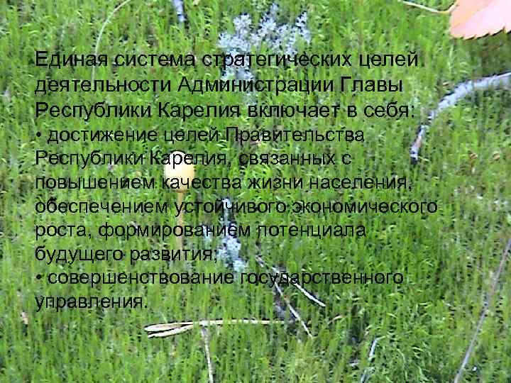 Единая система стратегических целей деятельности Администрации Главы Республики Карелия включает в себя: • достижение