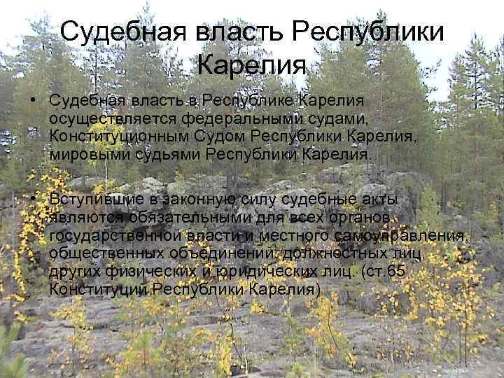 Судебная власть Республики Карелия • Судебная власть в Республике Карелия осуществляется федеральными судами, Конституционным