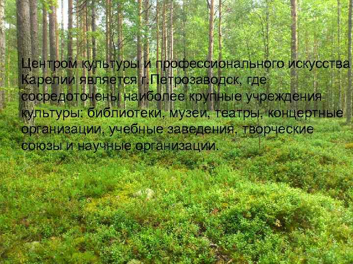 Центром культуры и профессионального искусства Карелии является г. Петрозаводск, где сосредоточены наиболее крупные учреждения