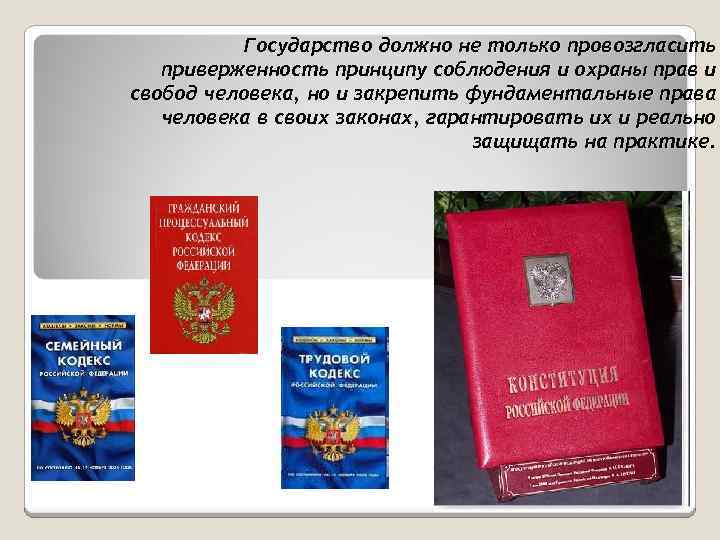 Государство должно не только провозгласить приверженность принципу соблюдения и охраны прав и свобод человека,