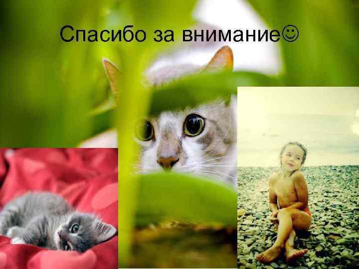 Спасибо за внимание 