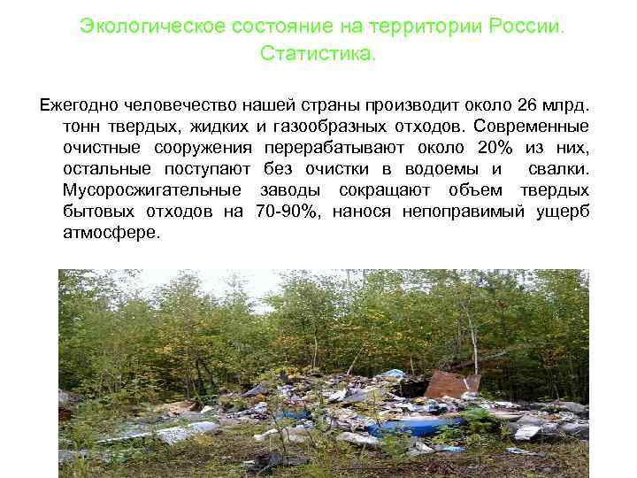 Экологическое состояние на территории России. Статистика. Ежегодно человечество нашей страны производит около 26 млрд.