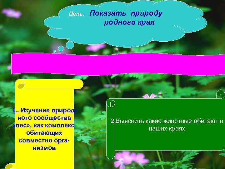 Изучение природного сообщества леса 4 класс по плану