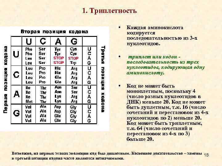 Один триплет кодирует одну аминокислоту