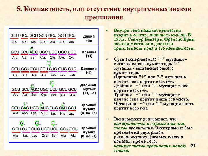 Кодоны знаки препинания. Код кн-01 расшифровка. Знаки препинания внутри Гена. Компактность генетического кода. Доказательства триплетности кода. Расшифровка кода..