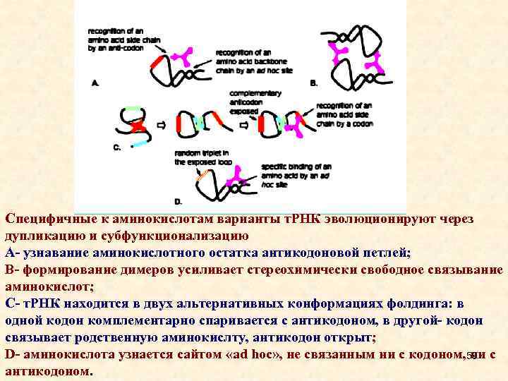 Схема расшифровка генетической информации