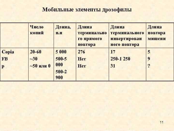 Мобильные элементы дрозофилы Число копий Copia FB p Длина, п. н Длина терминально го