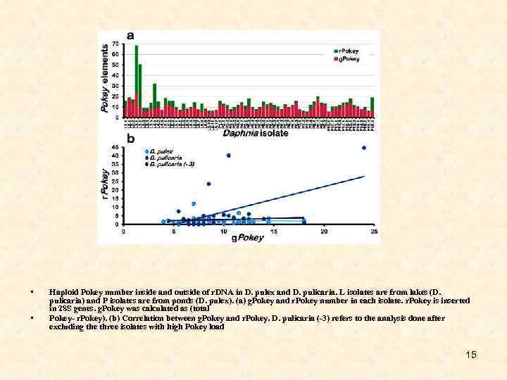  • • Haploid Pokey number inside and outside of r. DNA in D.