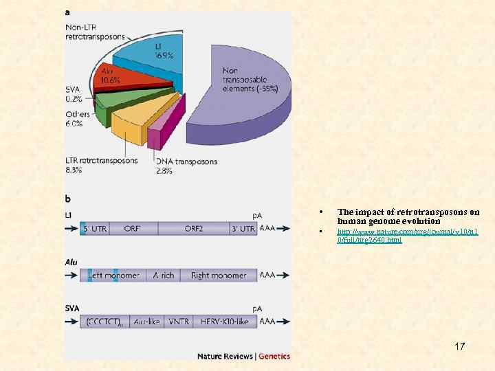  • The impact of retrotransposons on human genome evolution • http: //www. nature.