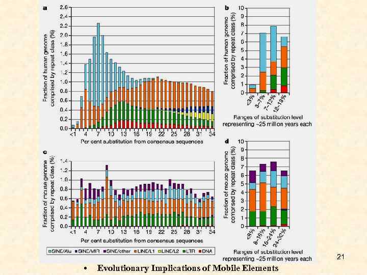 21 • Evolutionary Implications of Mobile Elements 