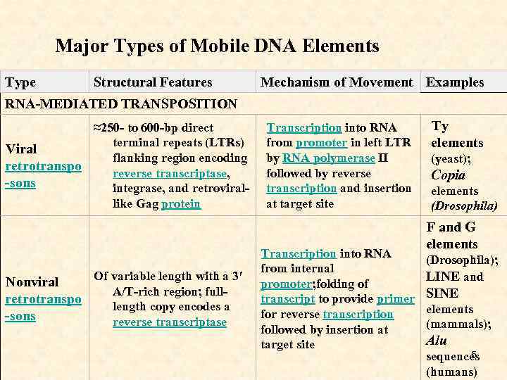 Major Types of Mobile DNA Elements Type Structural Features Mechanism of Movement Examples RNA-MEDIATED