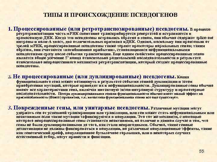 ТИПЫ И ПРОИСХОЖДЕНИЕ ПСЕВДОГЕНОВ 1. Процессированные (или ретротранспозированные) псевдогены. В процессе ретротрвнспозиции часть м.