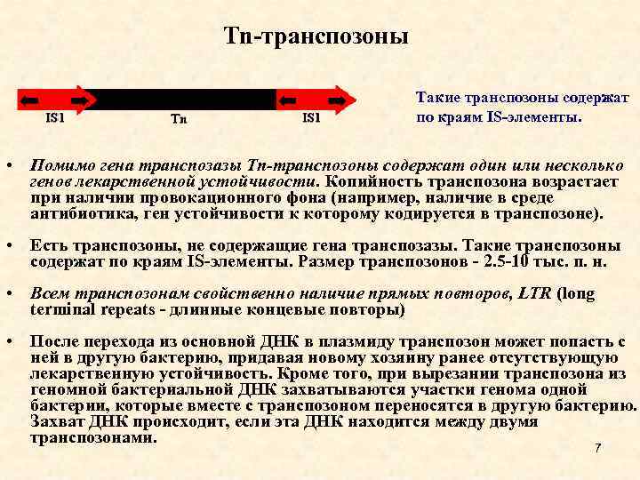 Tn-транспозоны Такие транспозоны содержат по краям IS-элементы. • Помимо гена транспозазы Tn-транспозоны содержат один