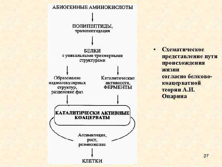  • Схематическое представление пути происхождения жизни согласно белковокоацерватной теории А. И. Опарина 27