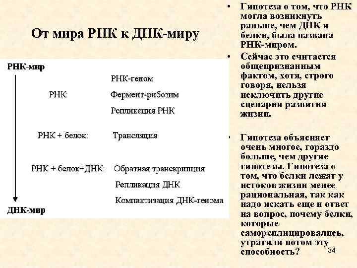 От мира РНК к ДНК-миру • Гипотеза о том, что РНК могла возникнуть раньше,