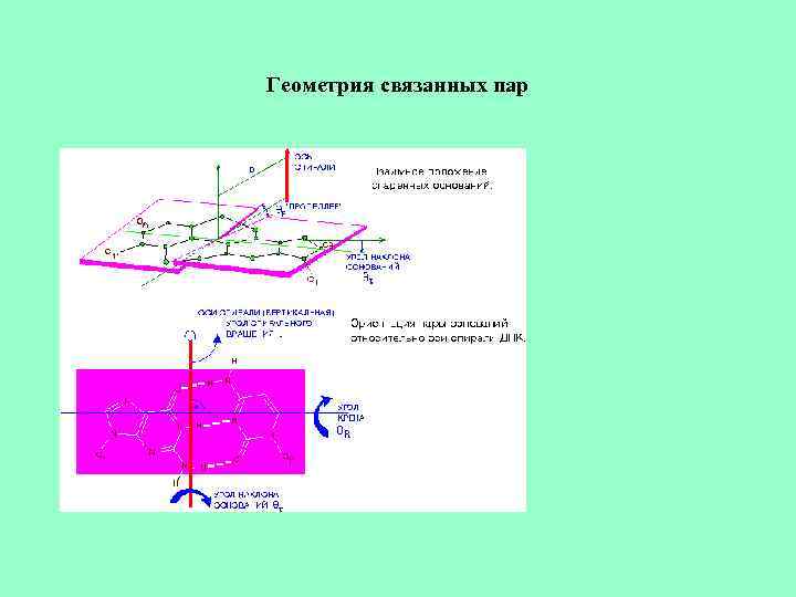 Геометрия связанных пар 
