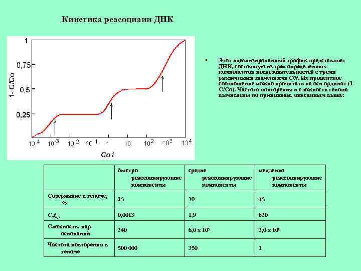 Кинетика реасоциаии ДНК • Этот идеализированный график представляет ДНК, состоящую из трех определенных компонентов