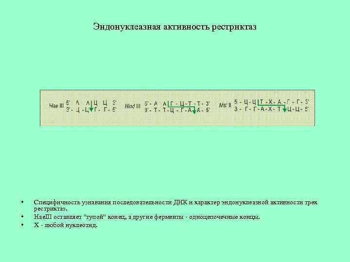 Эндонуклеазная активность рестриктаз • • • Специфичность узнавания последовательности ДНК и характер эндонуклеазной активности