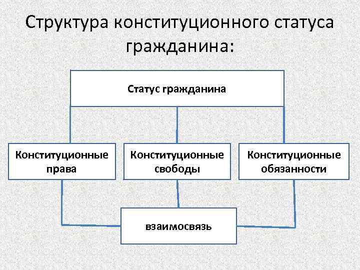 Конституционно правовой статус человека и гражданина план