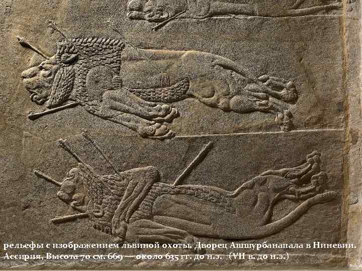 • рельефы с изображением львиной охоты. Дворец Ашшурбанапала в Ниневии. Ассирия, Высота 70