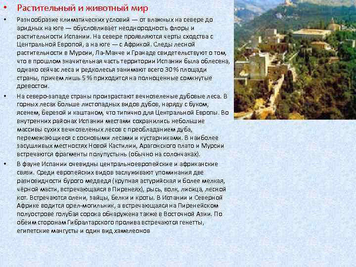  • Растительный и животный мир • • • Разнообразие климатических условий — от