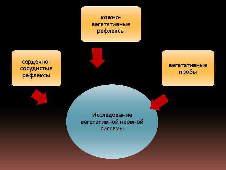 кожновегетативные рефлексы сердечнососудистые рефлексы вегетативные пробы Исследование вегетативной нервной системы 