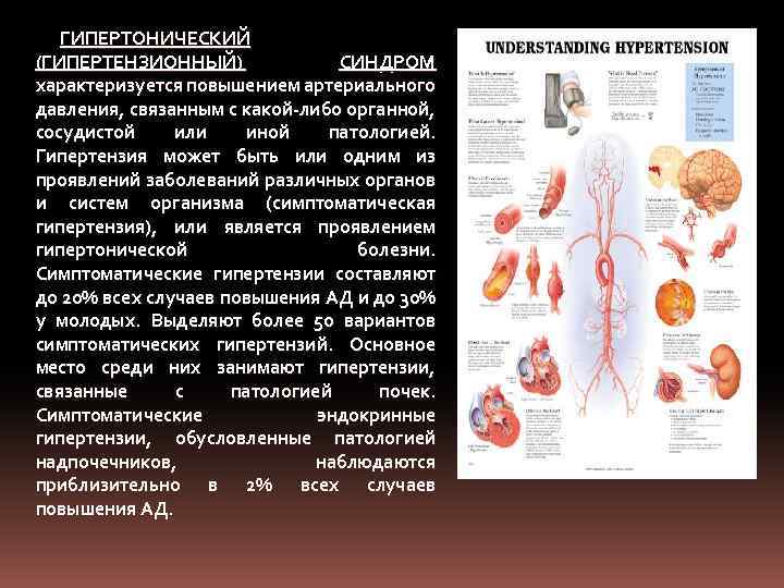 ГИПЕРТОНИЧЕСКИЙ (ГИПЕРТЕНЗИОННЫЙ) СИНДРОМ характеризуется повышением артериального давления, связанным с какой-либо органной, сосудистой или иной