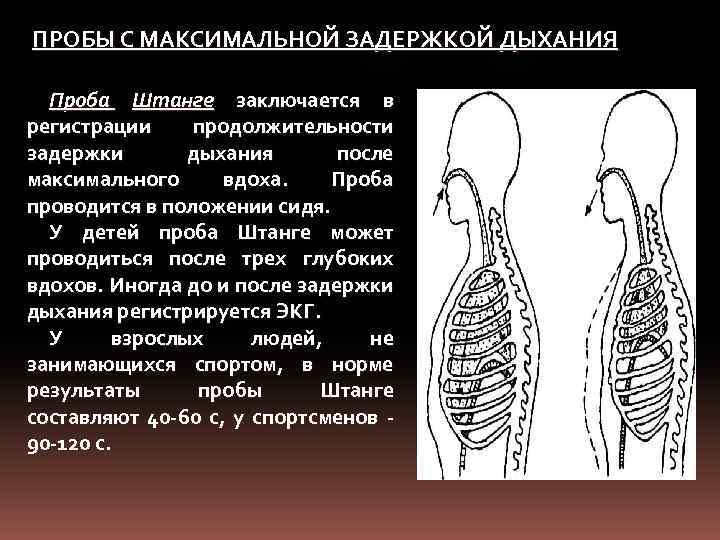 Функциональная проба с максимальной задержкой дыхания. Функциональные пробы проба штанге. Пробы дыхательной системы. Пробы с задержкой дыхания проба штанге. Функциональные пробы с задержкой дыхания на вдохе и выдохе.