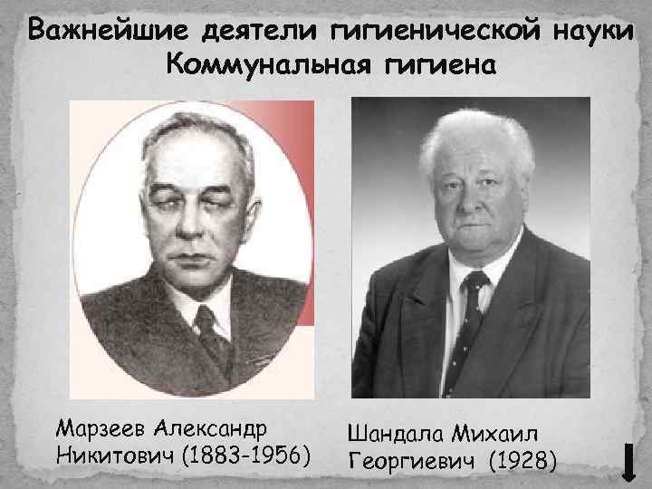 Важнейшие деятели гигиенической науки Коммунальная гигиена Марзеев Александр Никитович (1883 -1956) Шандала Михаил Георгиевич