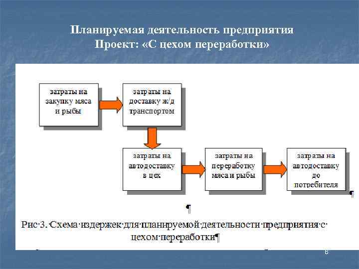 Планируемая деятельность предприятия Проект: «С цехом переработки» 8 