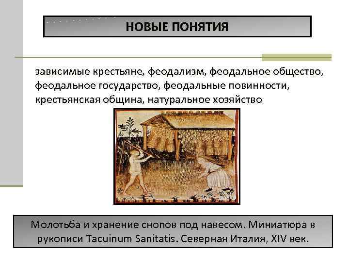 НОВЫЕ ПОНЯТИЯ зависимые крестьяне, феодализм, феодальное общество, феодальное государство, феодальные повинности, крестьянская община, натуральное