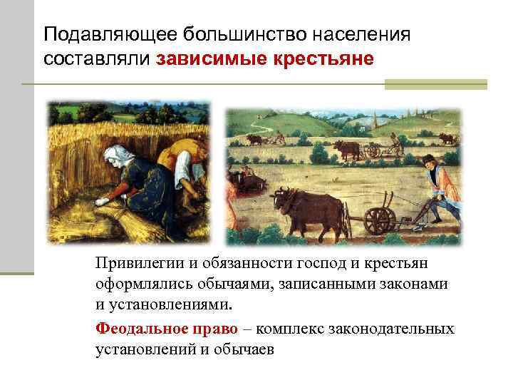 Подавляющее большинство населения составляли зависимые крестьяне Привилегии и обязанности господ и крестьян оформлялись обычаями,