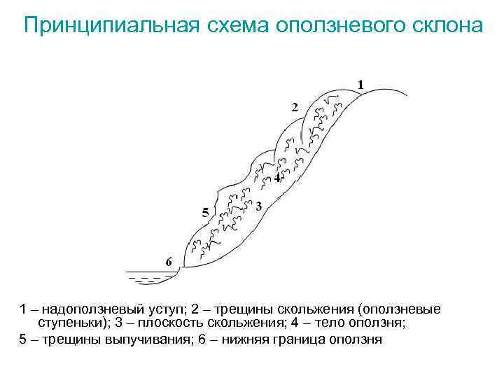 Принципиальная схема оползневого склона 1 – надоползневый уступ; 2 – трещины скольжения (оползневые ступеньки);