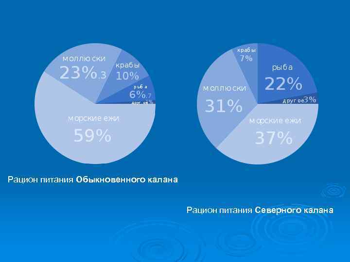 Рацион питания Обыкновенного калана Рацион питания Северного калана 