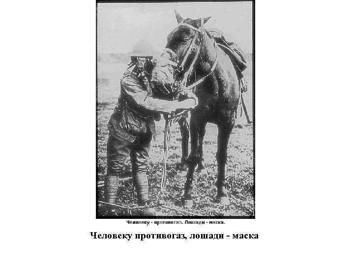 Человеку противогаз, лошади - маска 