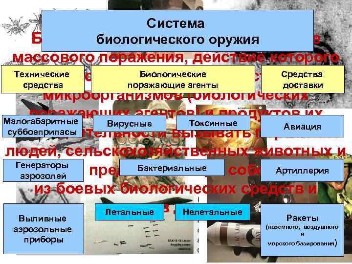 Система Биологическое оружиеоружия оружие биологического (БО) - массового поражения, действие которого Технические основано на