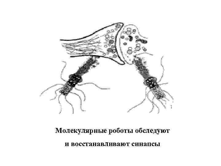 Молекулярные роботы обследуют и восстанавливают синапсы 