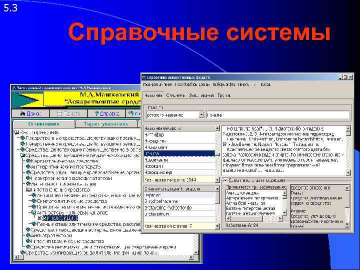 5. 3 Справочные системы 