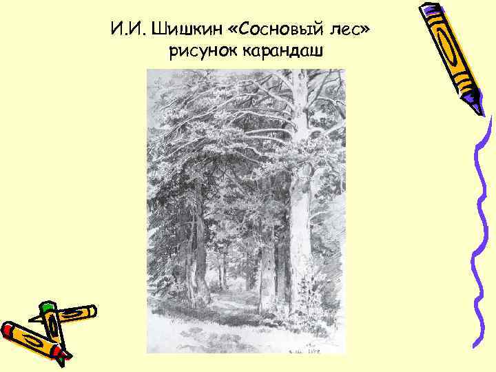 И. И. Шишкин «Сосновый лес» рисунок карандаш 