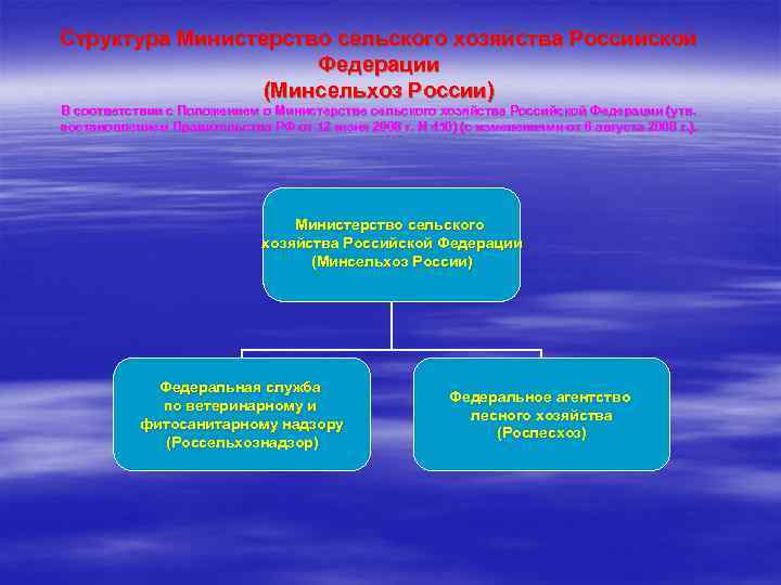 Структура Министерство сельского хозяйства Российской Федерации (Минсельхоз России) В соответствии с Положением о Министерстве