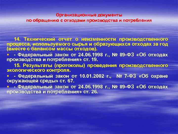 Организационные документы по обращению с отходами производства и потребления 14. Технический отчет о неизменности