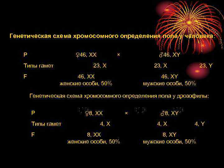 Генетическая схема хромосомного определения пола у человека: Р ♀46, XX Типы гамет × ♂46,