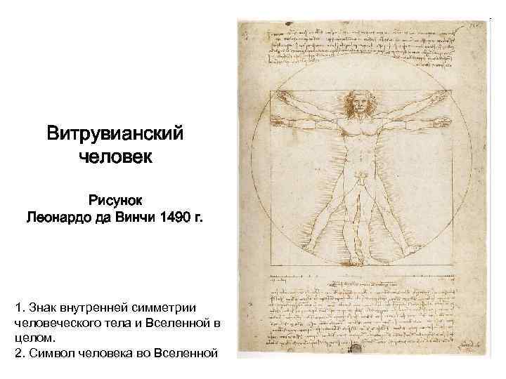 Витрувианский человек Рисунок Леонардо да Винчи 1490 г. 1. Знак внутренней симметрии человеческого тела