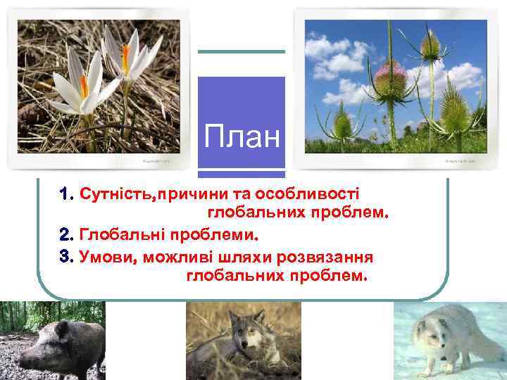 План 1. Сутність, причини та особливості глобальних проблем. 2. Глобальні проблеми. 3. Умови,