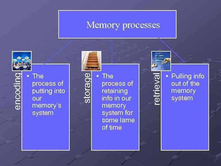  • The process of retaining info in our memory system for some lame