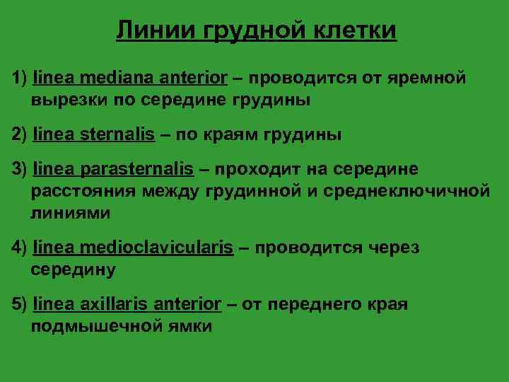 Линии грудной клетки 1) linea mediana anterior – проводится от яремной вырезки по середине